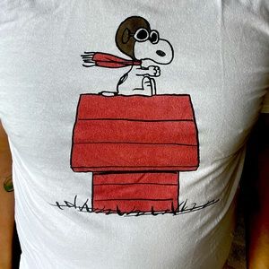 Snoopy vs The Red Baron